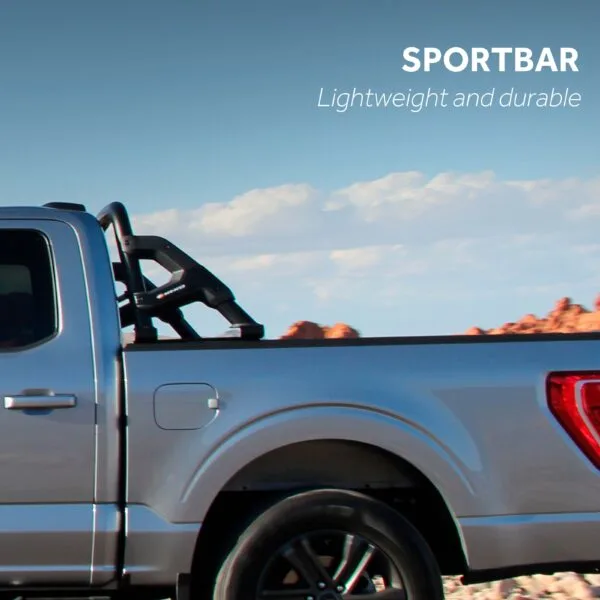 Sport Bar F-150 - Image 5